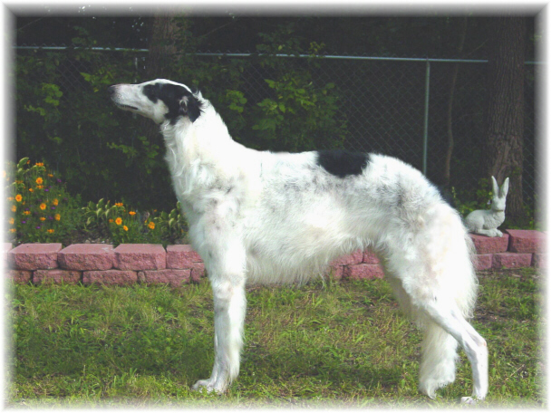 Almaz