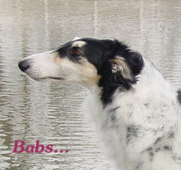 Babs