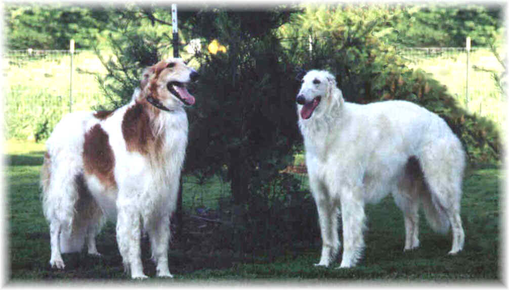 Bella and Mozart