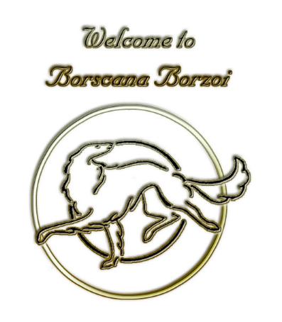 link to Borscana