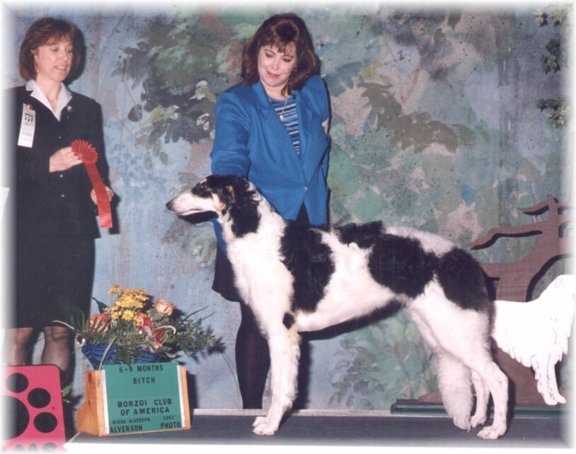 
GoGo at 2002 Nationals in Altanta