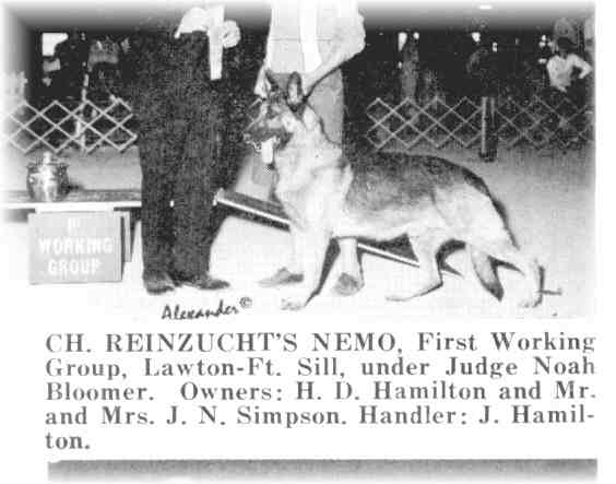 Champion Nemo