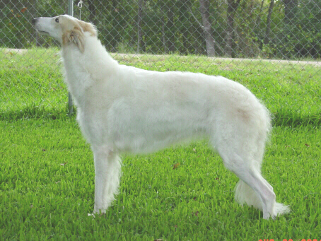 Maggie