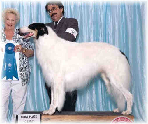 Texas Svora Borzoi