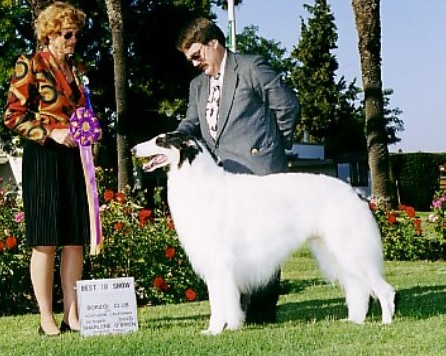 Valimir 